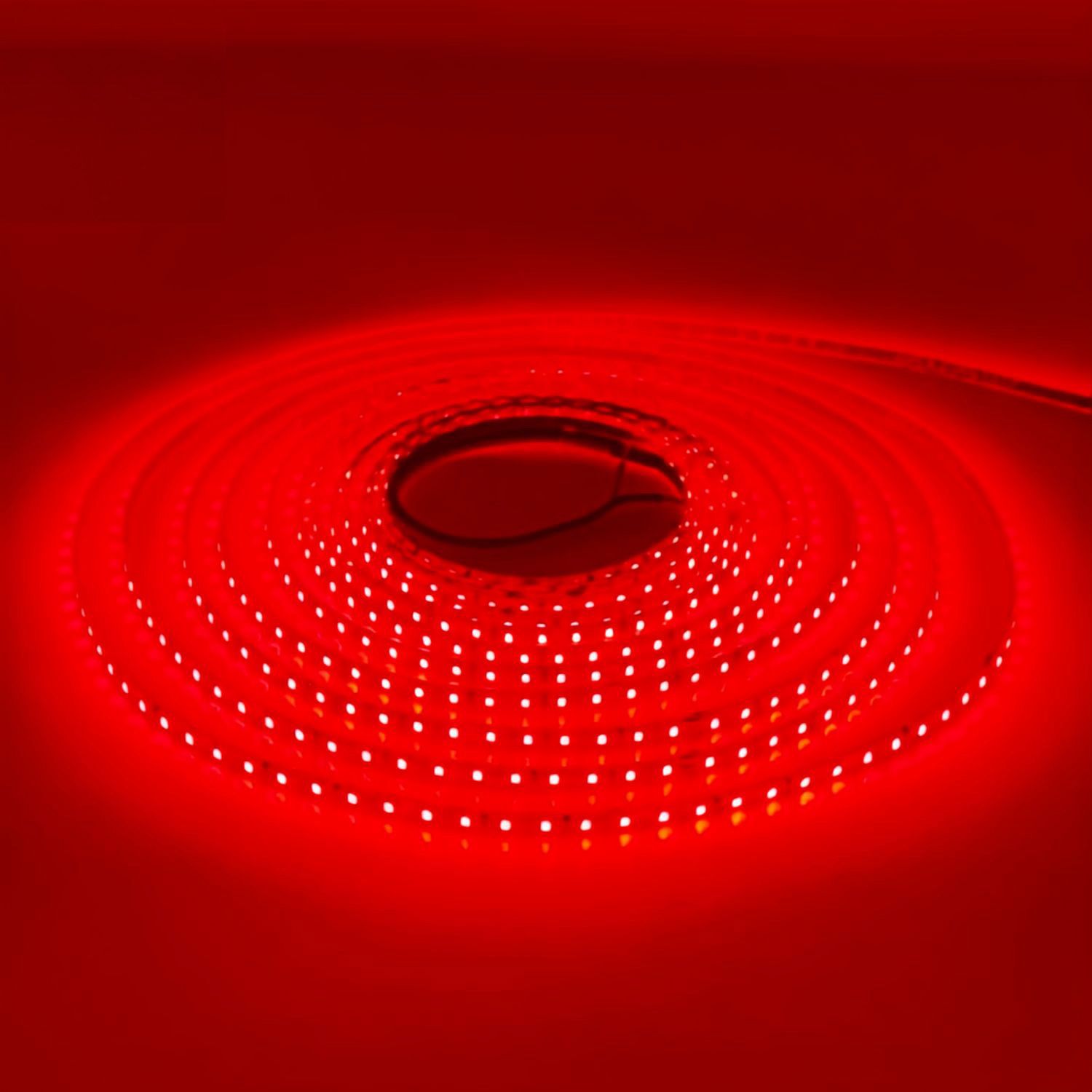 LED STRIP K-AA2216-156-RED DC-24V IP20 BOGDAN LED
