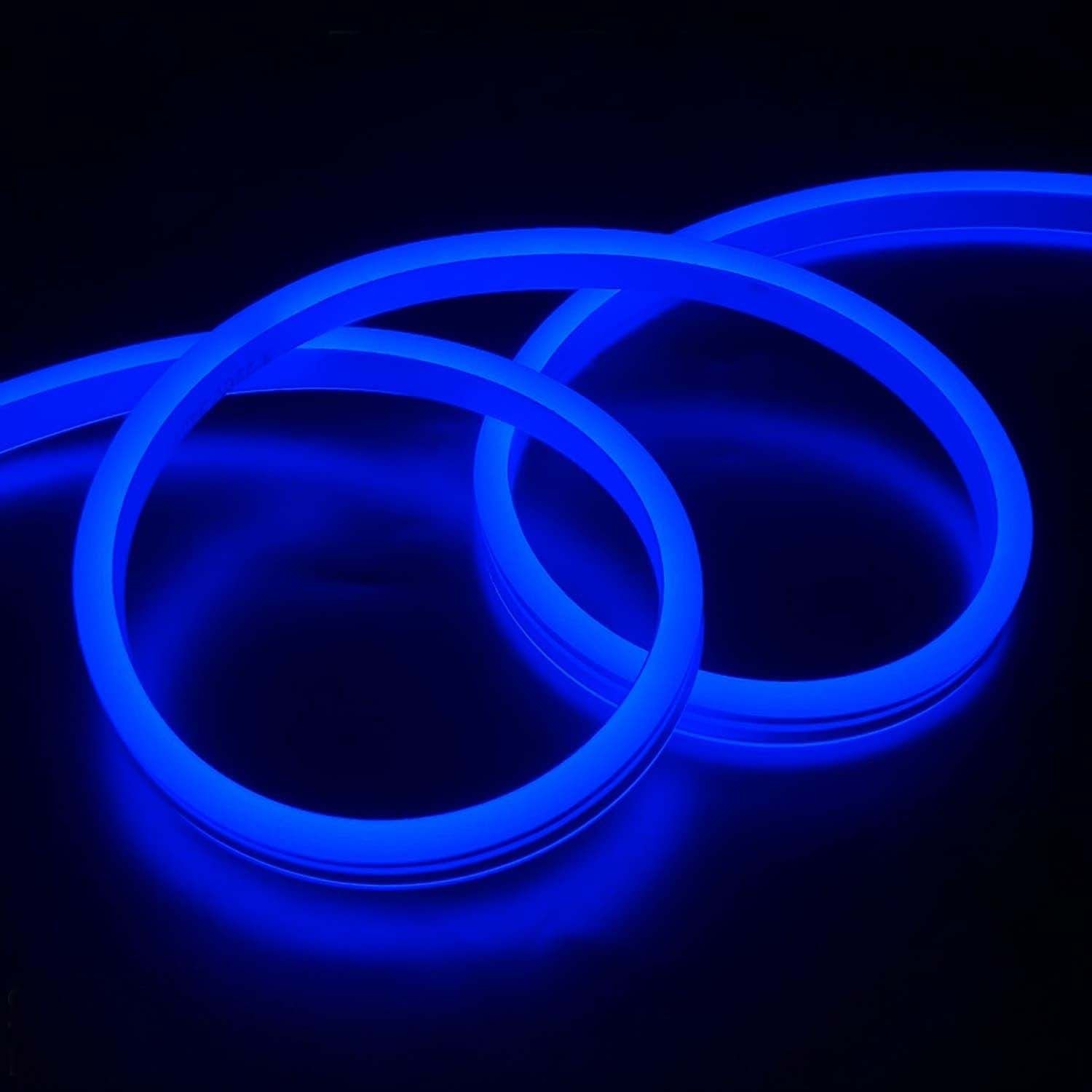 LED Neon flex Double side 1M 220V Blue