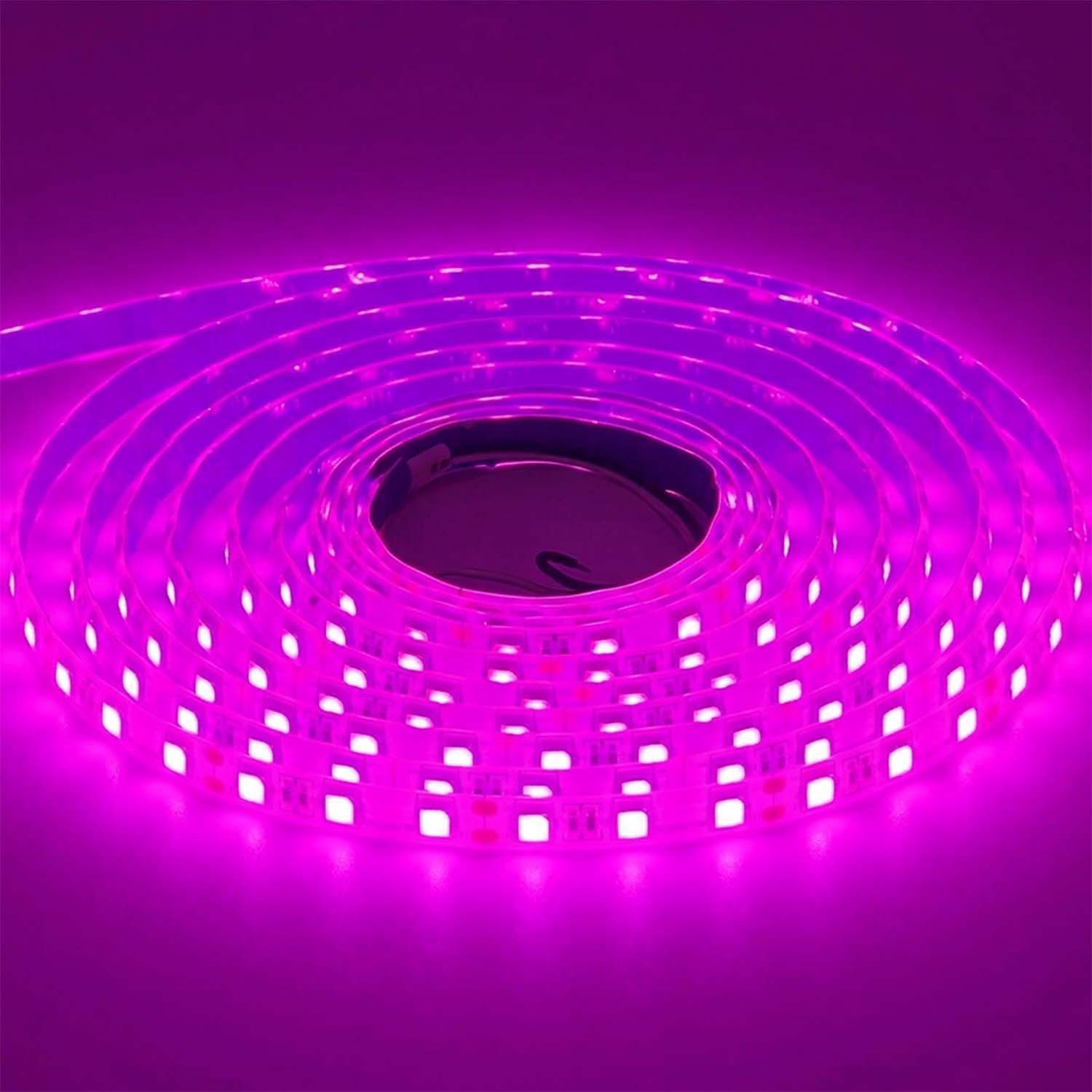 LED STRIP K-BB5050-PINK DC-12V IP65 BUDGET LED