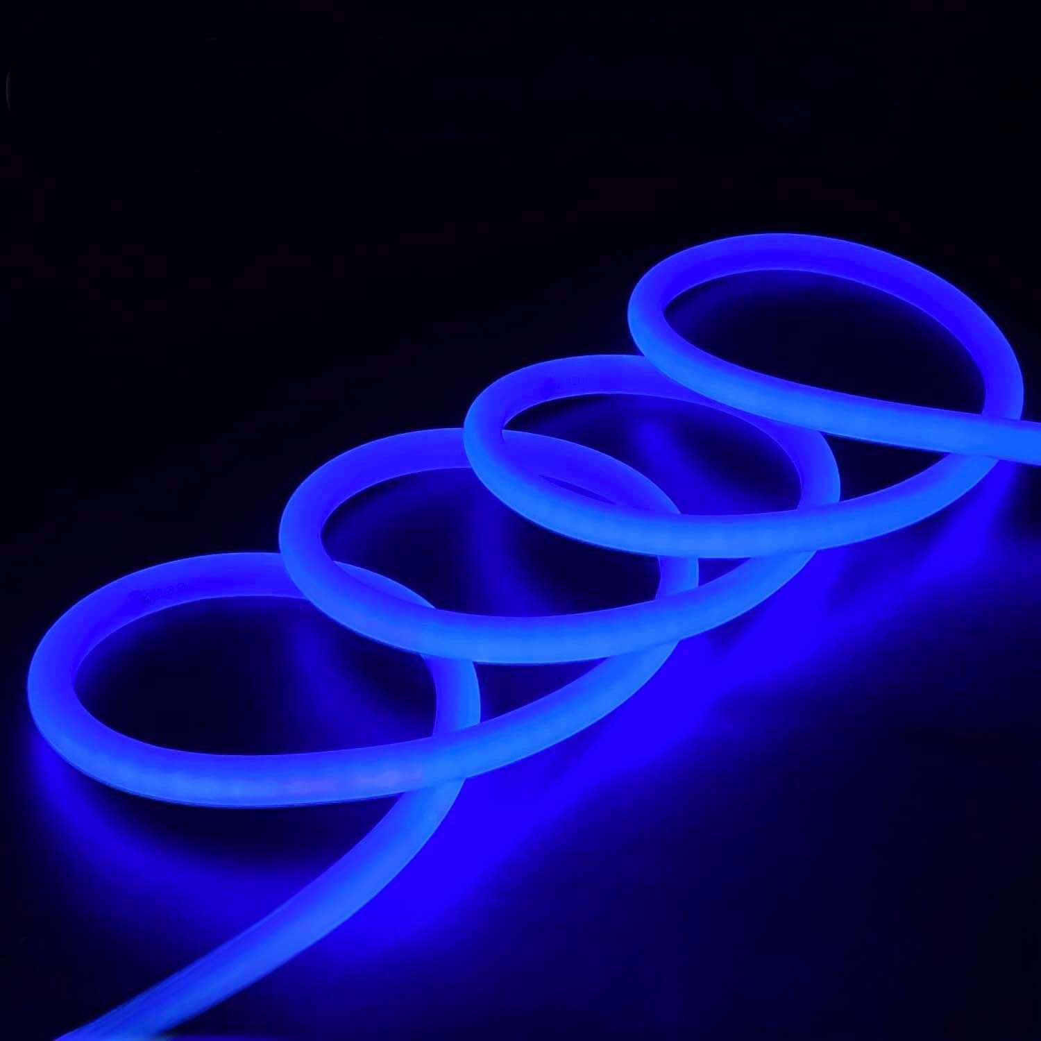LED Neon Flex-14mm 360° 220V AC Blue