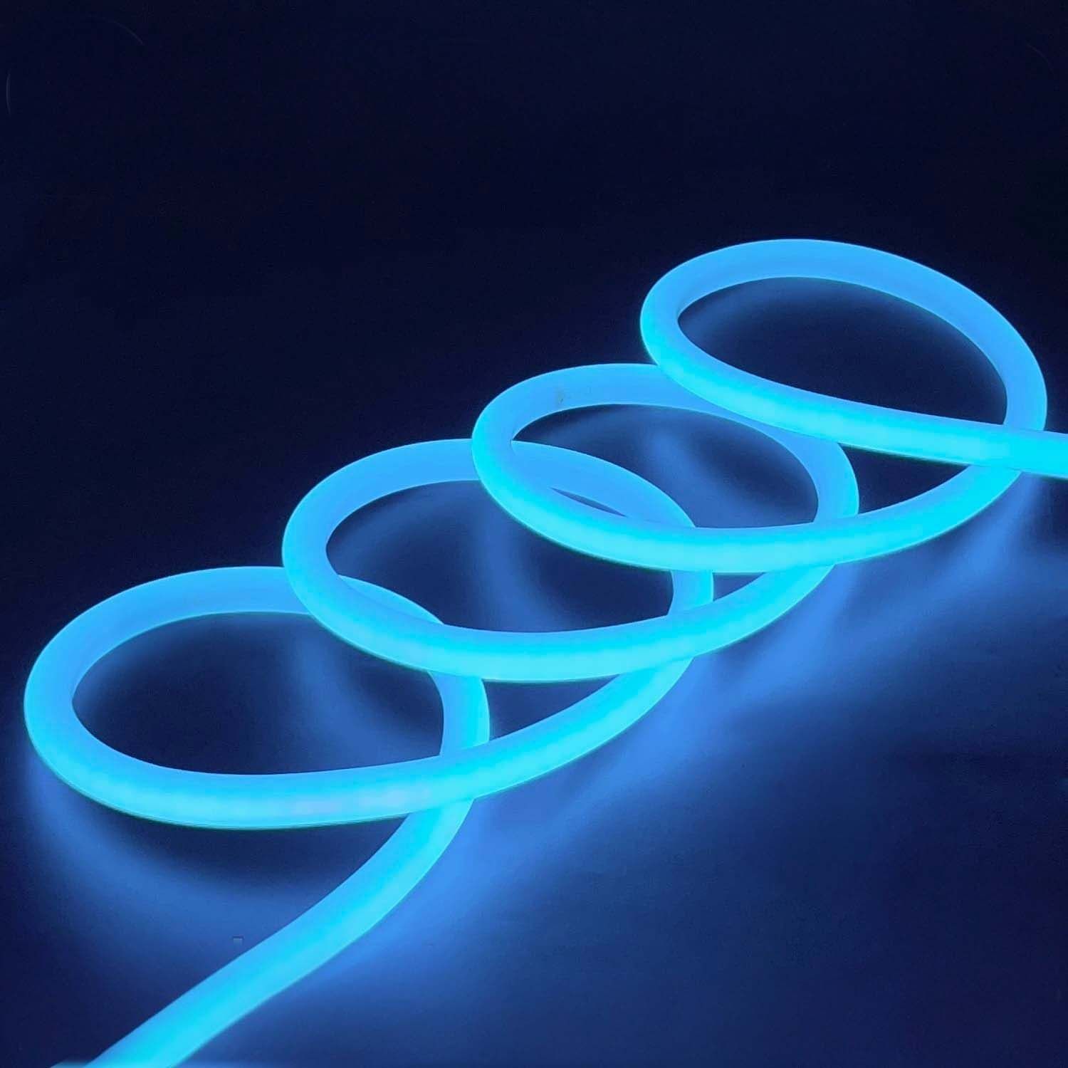 LED Neon Flex-14mm 360° 220V AC Ice Blue