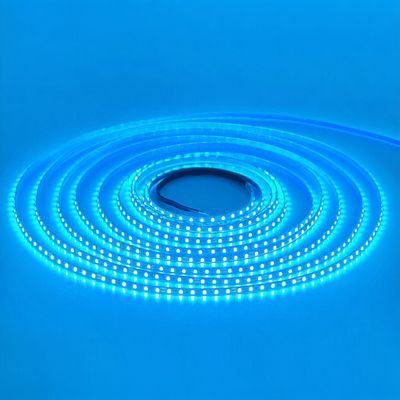 LED STRIP K-AA2216-156-ICE BLUE DC-24V IP20 BOGDAN LED