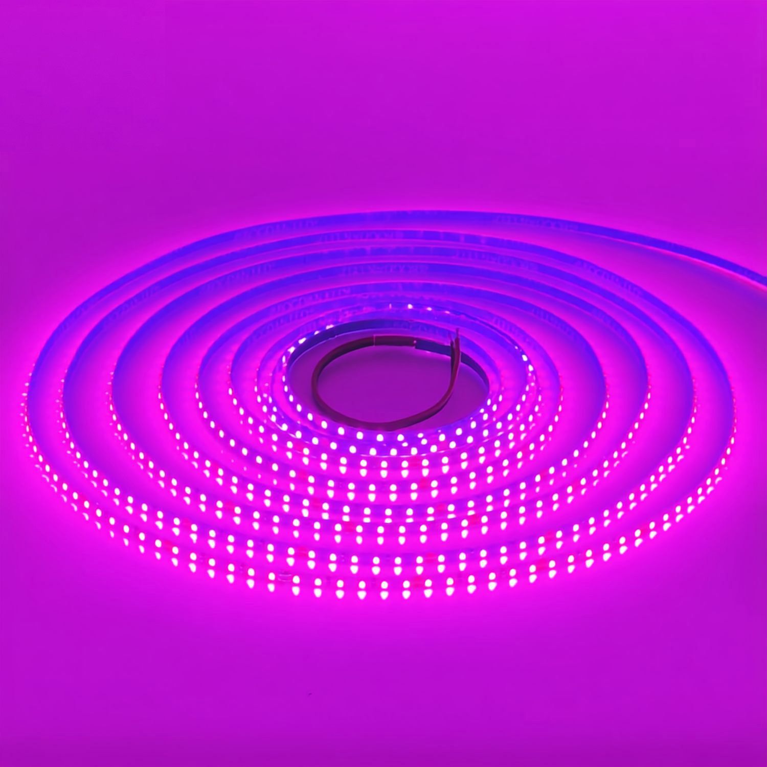 LED STRIP K-AA2216-156-PINK DC-24V IP20 BOGDAN LED
