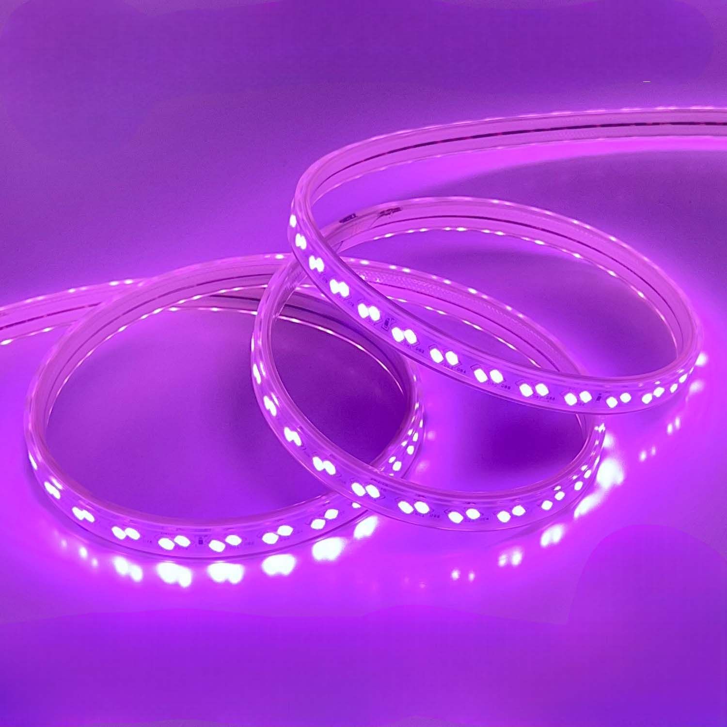 LED ROPE LIGHT 5730-120-12W-220V Violet