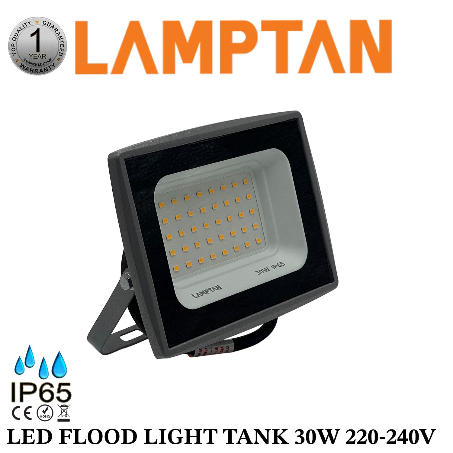 LED ฟลัดไลท์ นิว แทงค์ 30W สีวอมไวท์ P.10 LAMPTAN