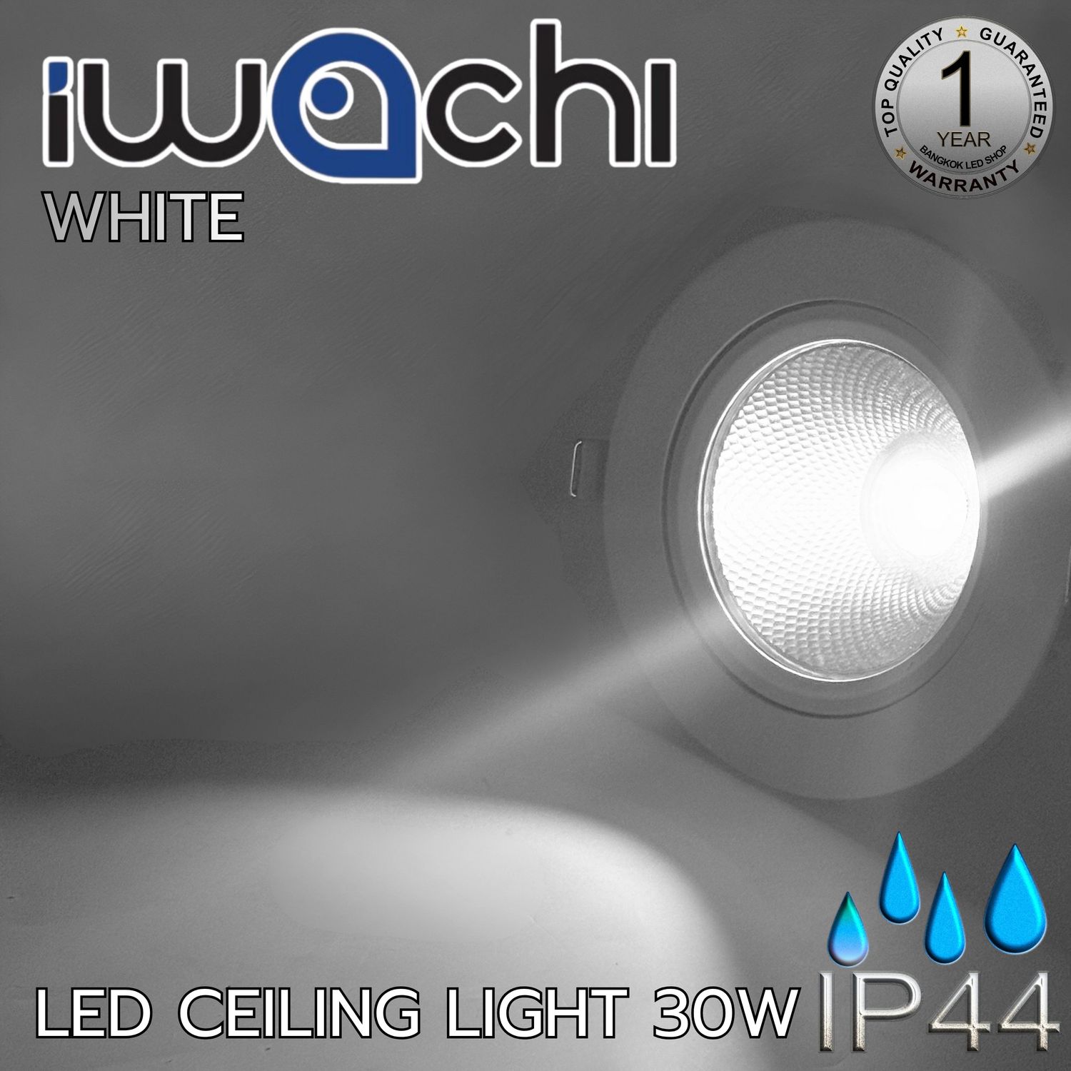 LED Downlight COB 30W 13.5cm x 13.5 cm IP44 สีขาว