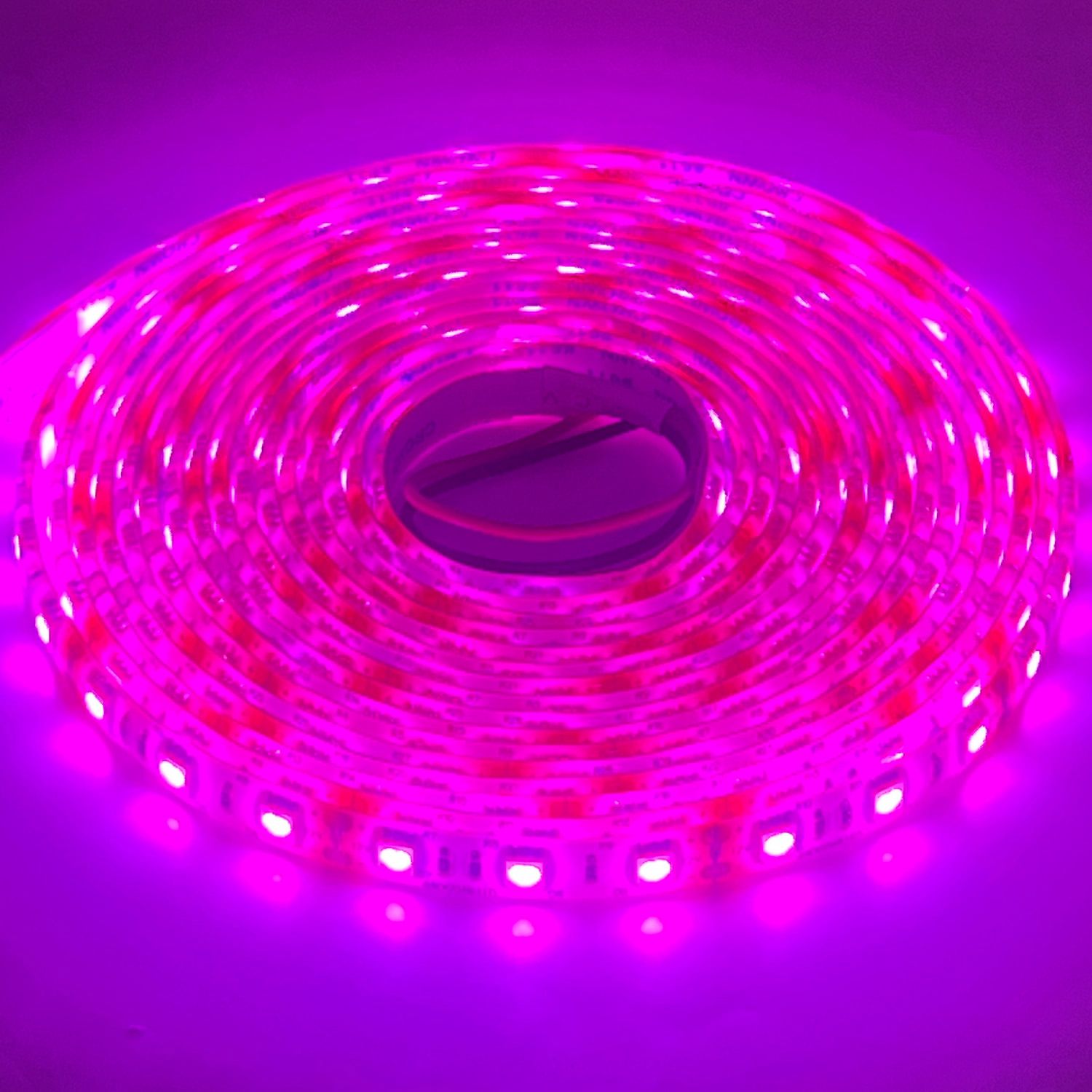 LED STRIP 5050-PINK 12V IP65 300LED