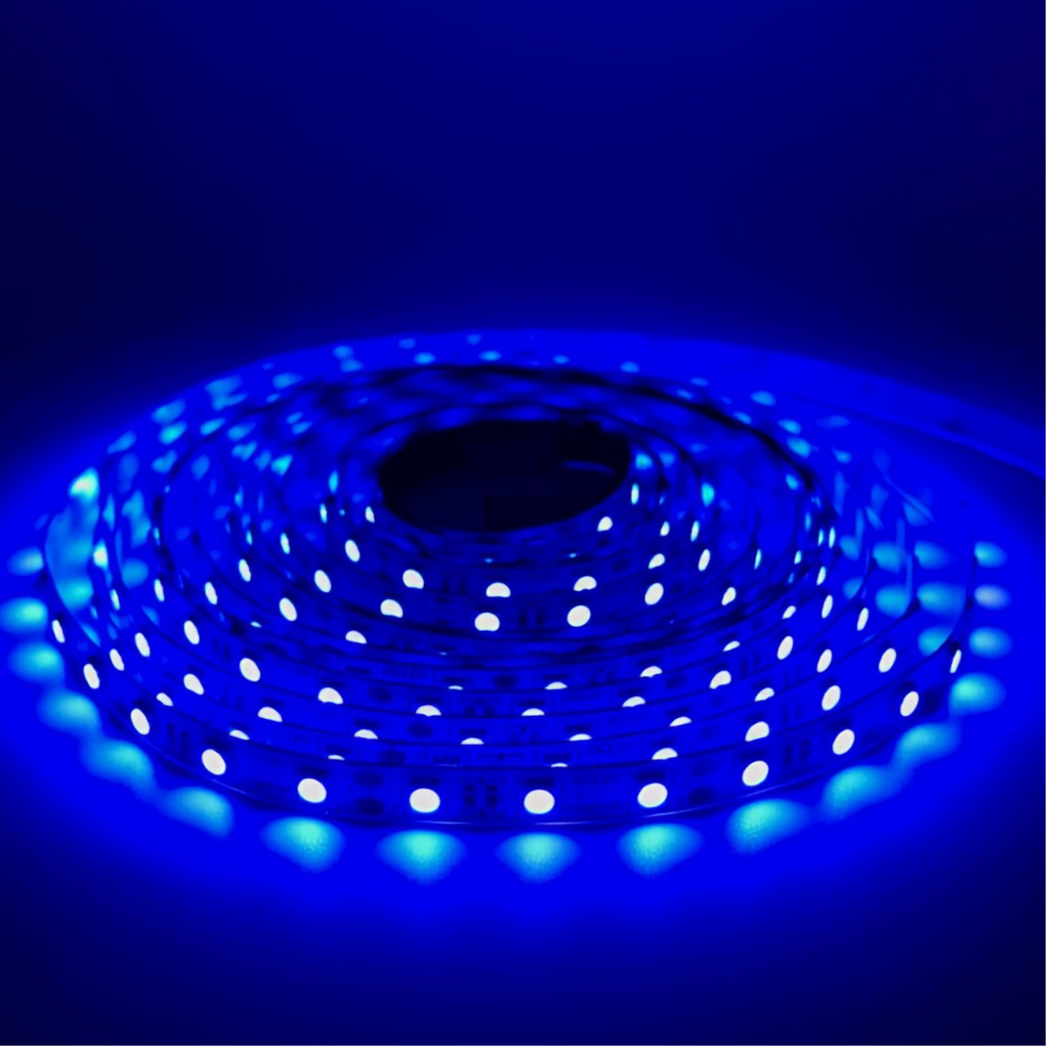 LED STRIP 5050-BLUE 12V IP20 300LED