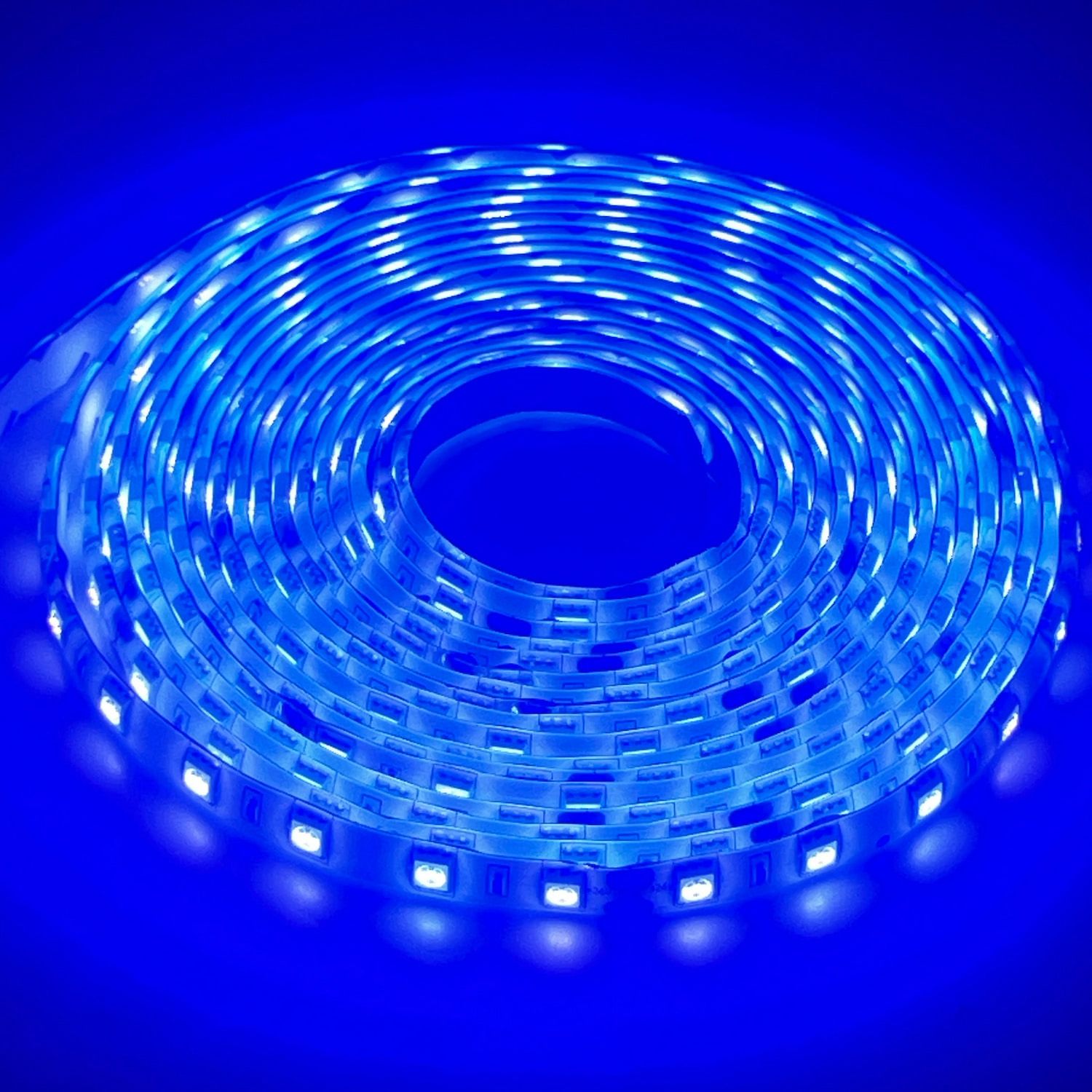 LED STRIP 5050-BLUE 24V IP65 300LED