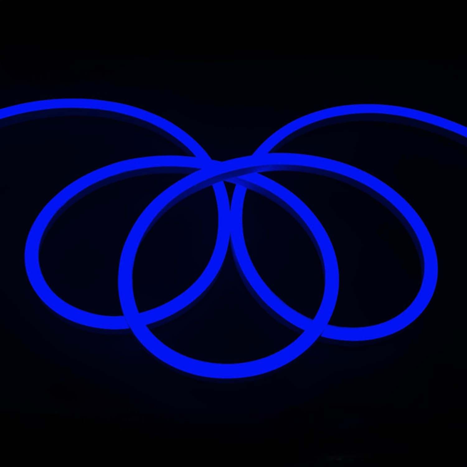 LED Neon Flex 9x16mm 12V Blue