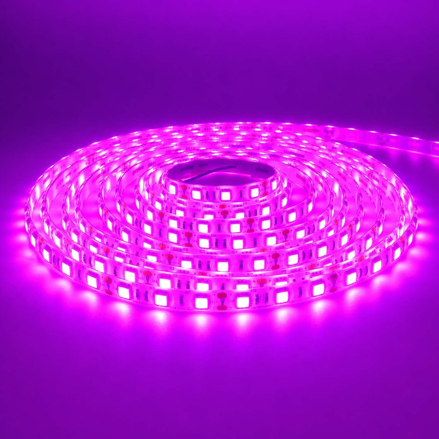LED STRIP K-AA5050-PINK DC-12V IP65 BOGDAN LED