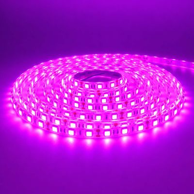 LED STRIP K-AA5050-PINK DC-12V IP65 BOGDAN LED
