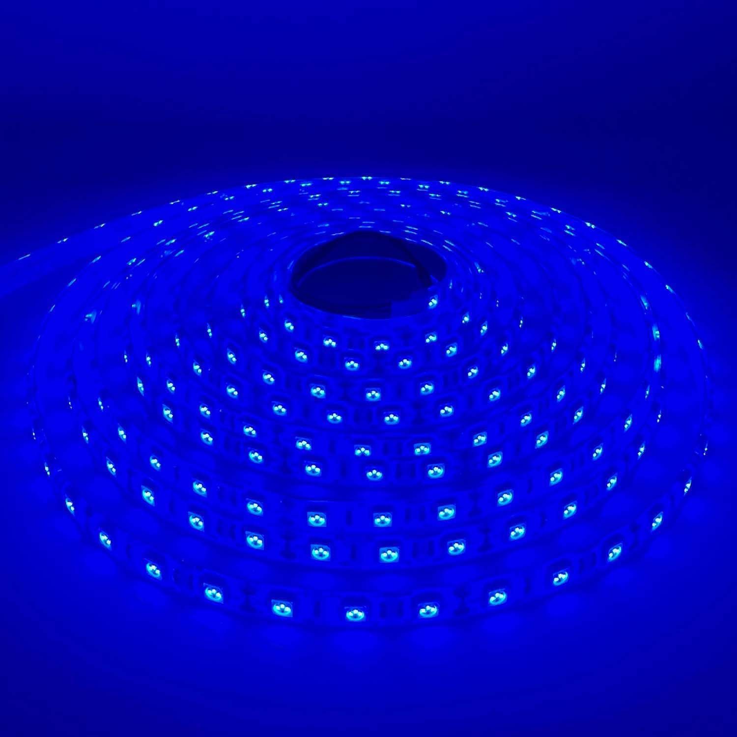 LED STRIP K-AA5050-BLUE DC-12V IP65 BOGDAN LED