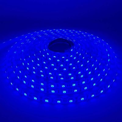 LED STRIP K-AA5050-BLUE DC-12V IP65 BOGDAN LED