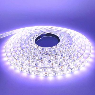 LED STRIP K-BB5050-15000K DC-12V IP65 BUDGET LED