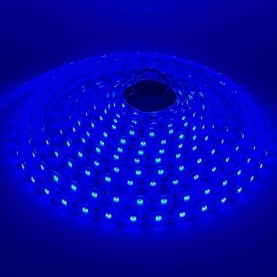 LED STRIP K-BB5050-BLUE DC-12V IP65 BUDGET LED