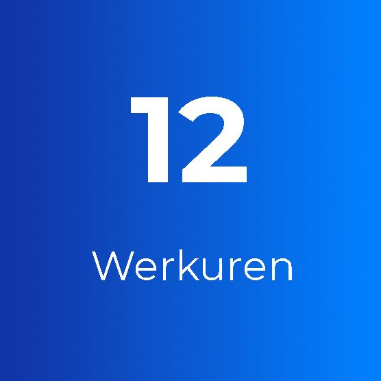 Support Plus: 12 Werkuren