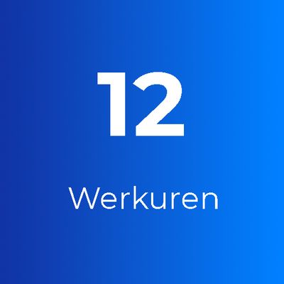 Support Plus: 12 Werkuren