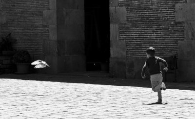 Boy chasing a dove