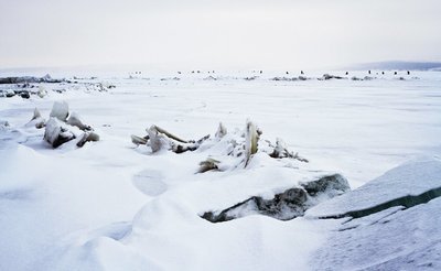 Ice Windrow on Volga River