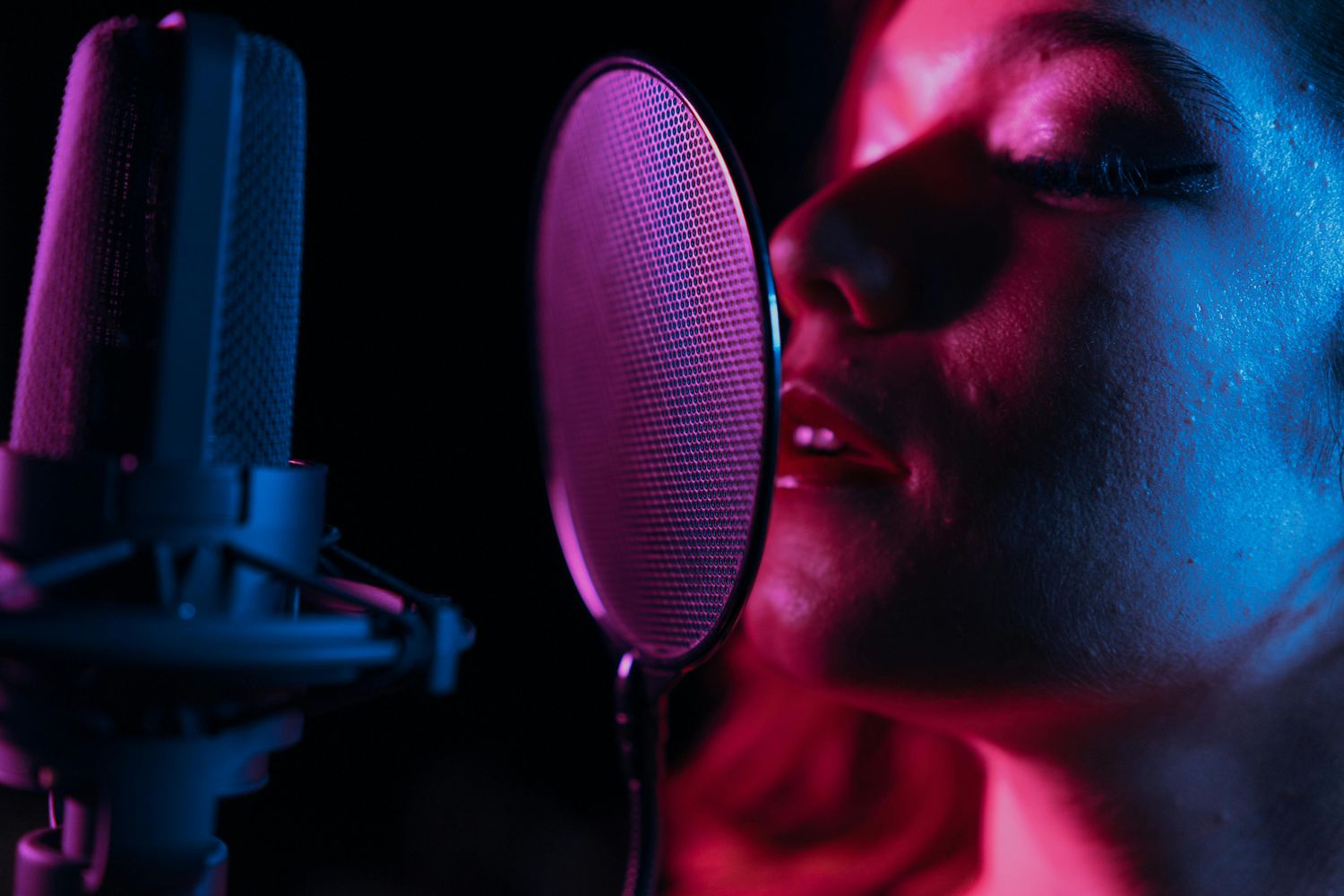 VocalStar VX1 - Professional Microphone