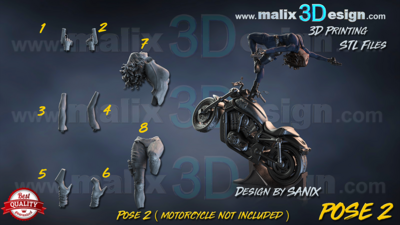 S.H.I.E.L.D. ( pose 2 ) - STL Files
