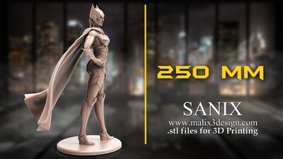 BATGIRL - 3D Printable Model