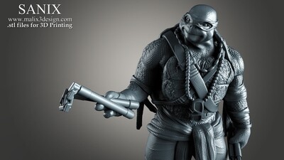 TMNT - Michelangelo 3D Printable Model