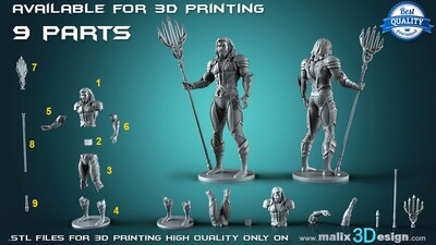 Aquaman - 3D Printable Model