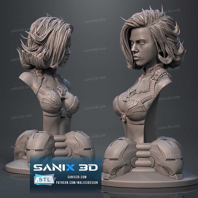 IRON Collection / Iron Widow ( bust ) STL Files