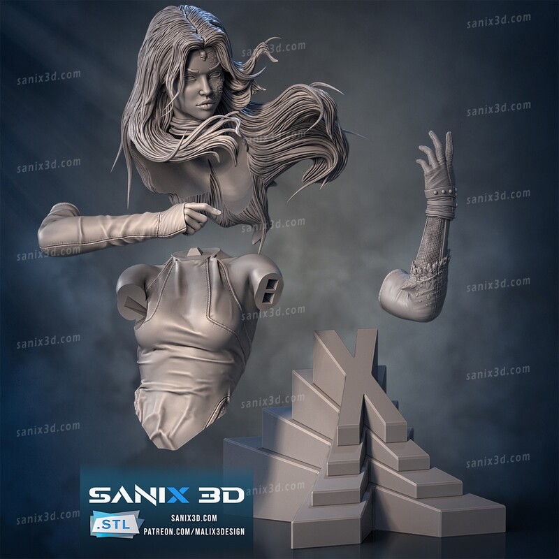 Raven ,, bust ,, - STL Files