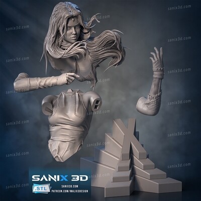 Raven ,, bust ,, - STL Files