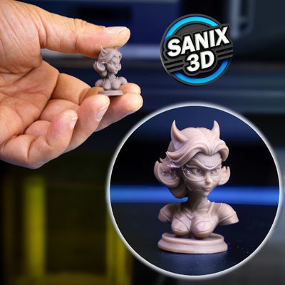 Mini / CATWOMAN ( STL File )