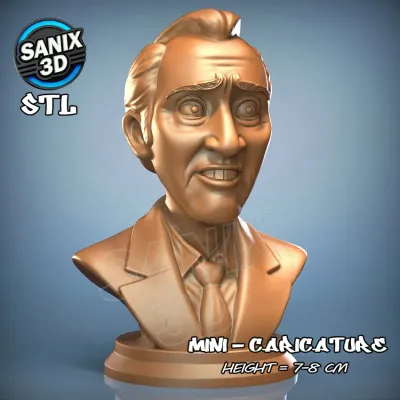 Mini / Nicolas Cage ( STL File )