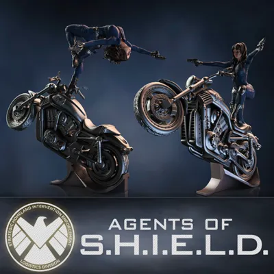 S.H.I.E.L.D. ( pose 1 ) - STL Files