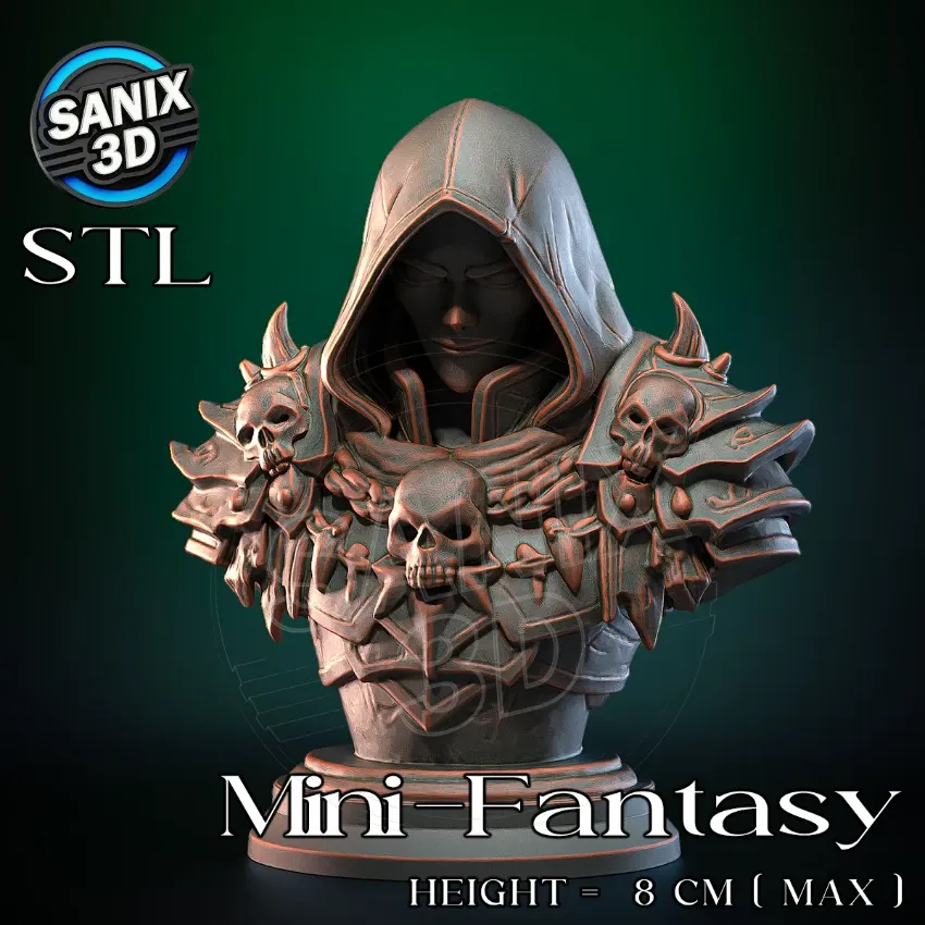 Mini-Fantasy / Shadow Assassin ( STL File )