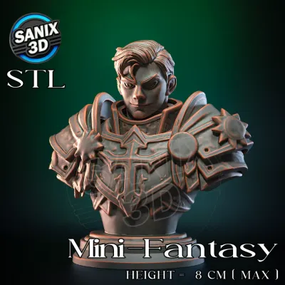 Mini-Fantasy / Holy Paladin ( STL File )