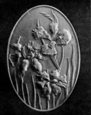 DeBaillon Medal