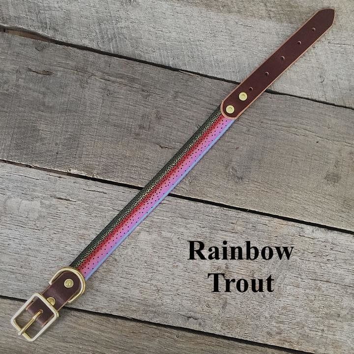 The Whiskey  Dog Collar - , Color: Rainbow Trout, Size: Small