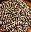 Fly Fish Food Chenille Fly Fish Food Chenille, Color: Black/Beige, Size: Small