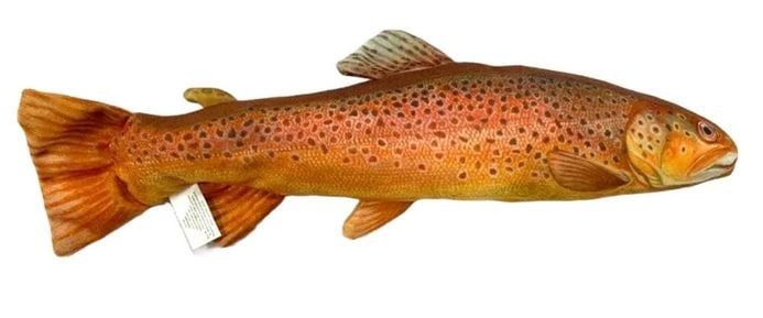 Fish Target Trout, Color: - Brown Trout