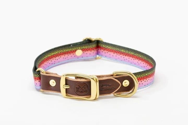 The Whiskey Adjustable  Dog Collar - , Color: Rainbow Trout, Size: Small/Medium
