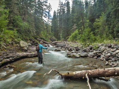 Colorado High Country Fly Fishing Gear