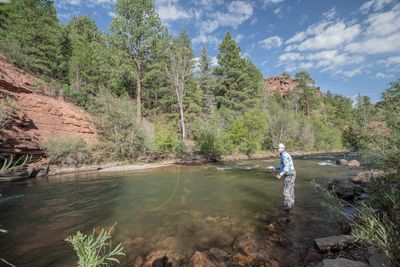 Summer  Fly Fishing