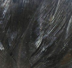 Hareline Coq De Leon Feathers