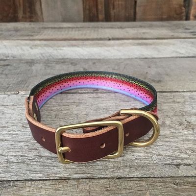 The Whiskey  Dog Collar - 