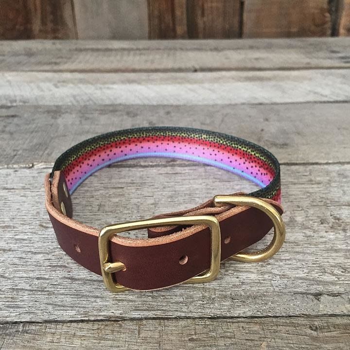 The Whiskey  Dog Collar - 