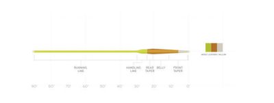 SA Amplitude Smooth Creek Trout