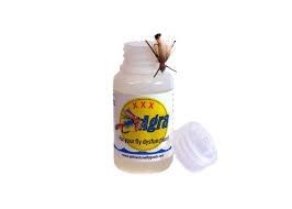 Fly Agra