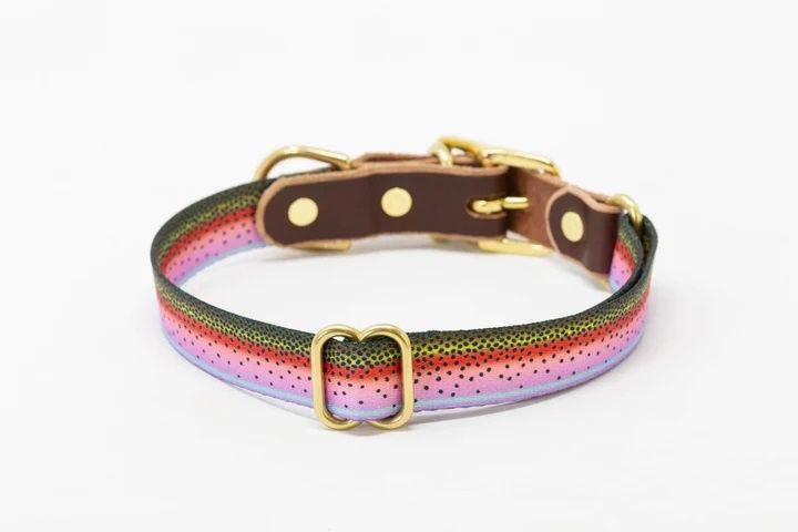 The Whiskey Adjustable  Dog Collar - 